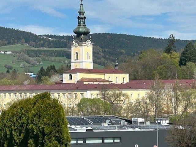 Apartment kaufen in Aigen im Mühlkreis, Oberösterreich
