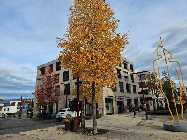 Apartment mieten in Götznerberg, Götzis