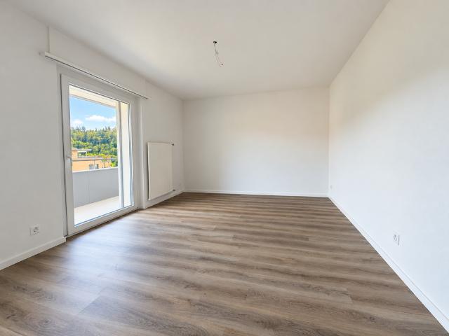 Apartment mieten in Zwingen, Bezirk Laufen