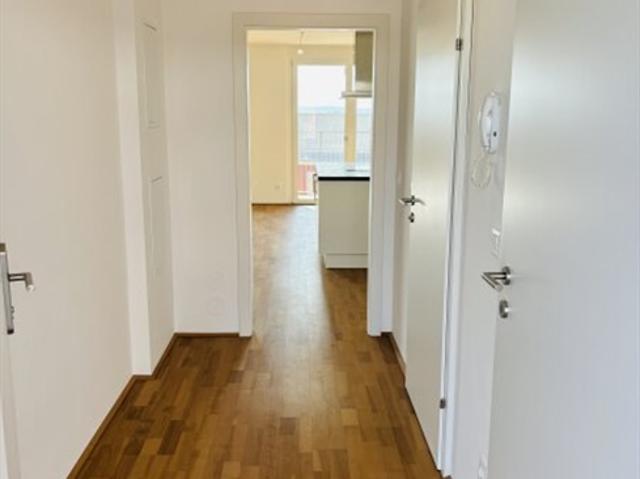 Wohnung kaufen in Katastralgemeinde Straßgang, Graz