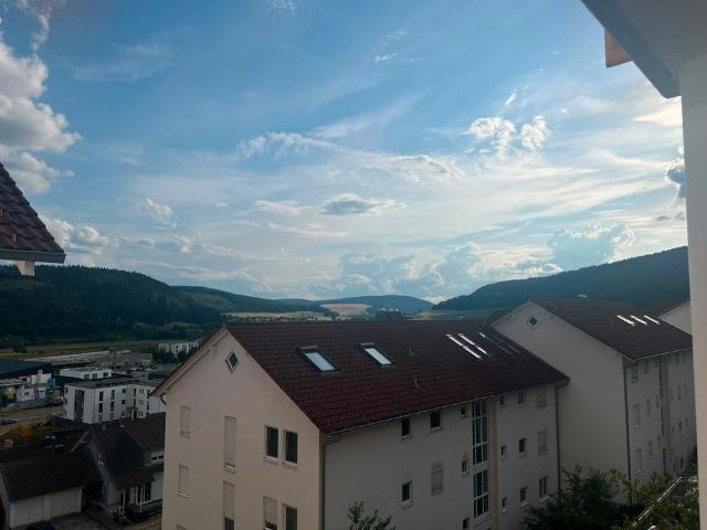 Wohnung kaufen in Immendingen, Baden-Württemberg