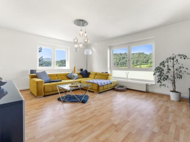 Wohnung kaufen in Liebenfels, Kärnten