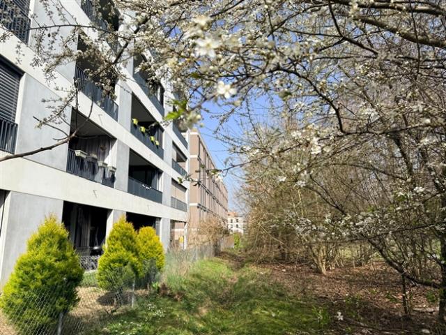 Wohnung kaufen in Meyrin