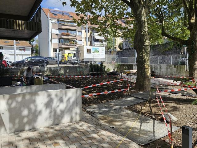 Wohnung kaufen in Riehen, Basel-Stadt