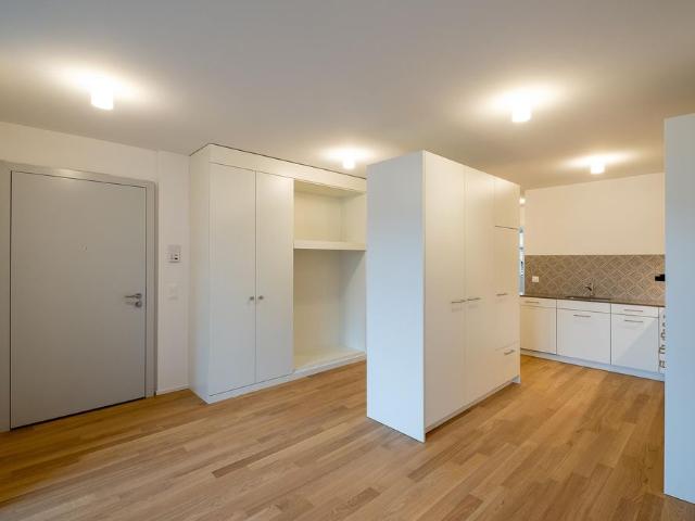 Apartment mieten in Altstadt, Zofingen