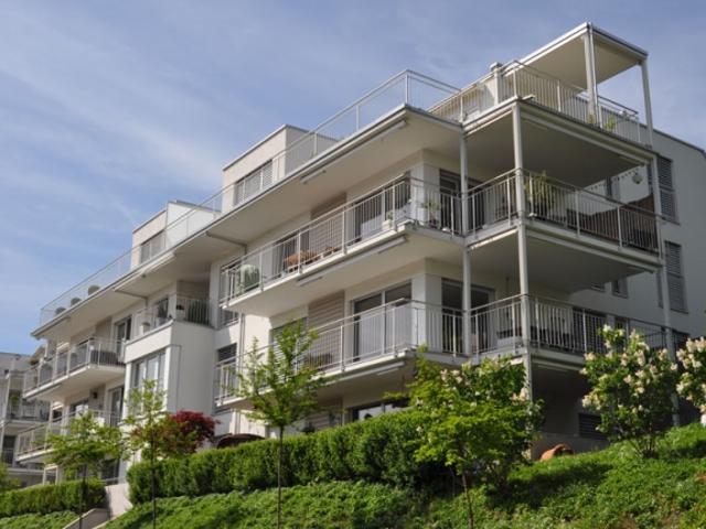 Attikawohnung mieten in Oberengstringen, Zürich