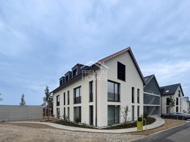 Attikawohnung kaufen in Lieli, Oberwil-Lieli