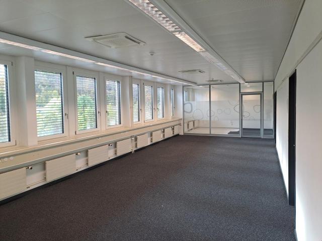 Immobilie kaufen in Dittingen, Basel-Landschaft
