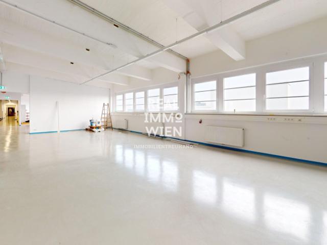 Büro kaufen in Traiskirchen, Niederösterreich