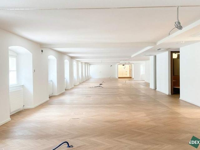 Gewerbe mieten in Innere Stadt, Wien