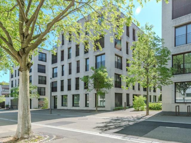 Büro mieten in Rheinfelden, Aargau