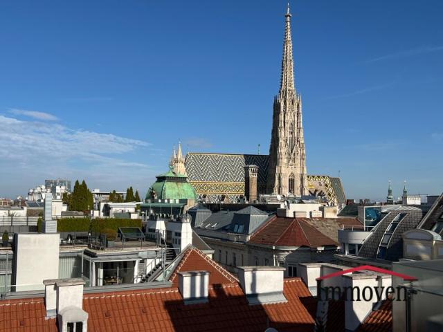 Dachgeschosswohnung mieten in Wien