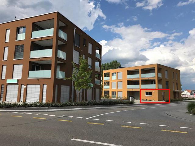 Immobilie kaufen in Widnau, St. Gallen