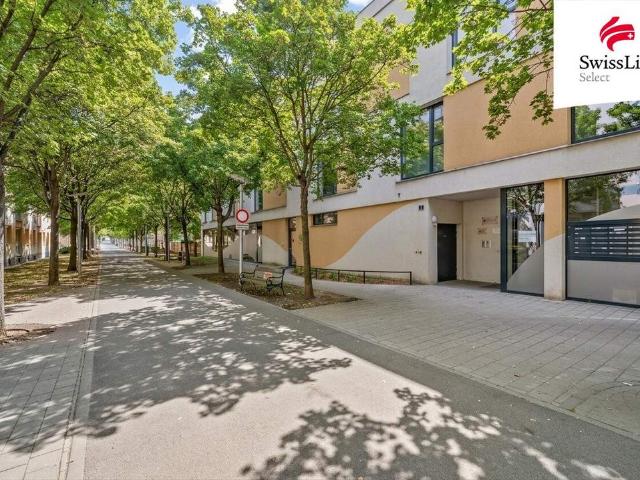 Wohnung kaufen in Gänserndorf, Niederösterreich
