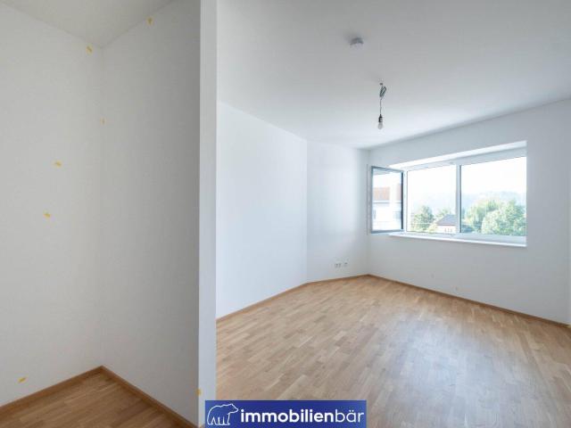 Apartment kaufen in Seebach, Hinzenbach