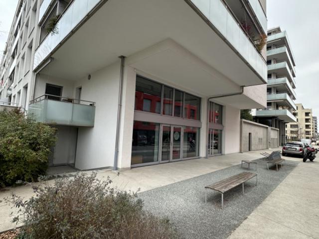 Immobilie kaufen in Nyon, Waadt