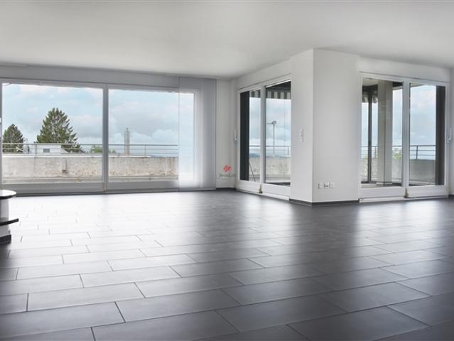 Wohnung kaufen in Bellikon, Aargau
