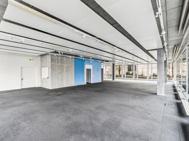 Büro mieten in Steinhausen, Zug