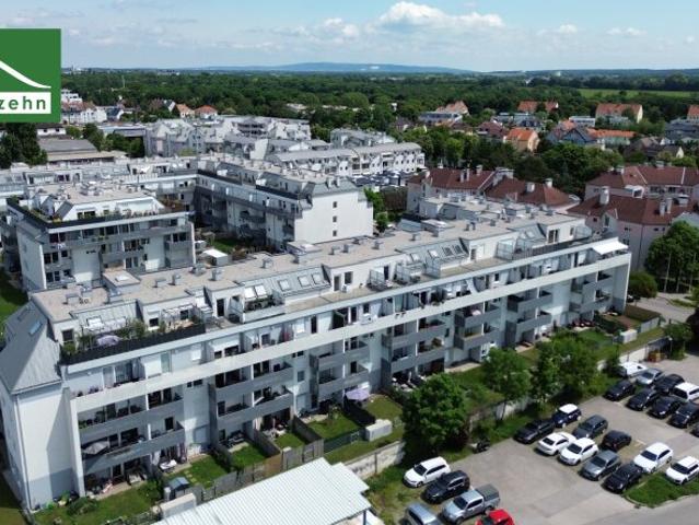 Wohnung mieten in Wiener Neustadt, Niederösterreich