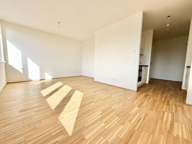 Apartment mieten in Innere Stadt, Gersdorf-Feistritz