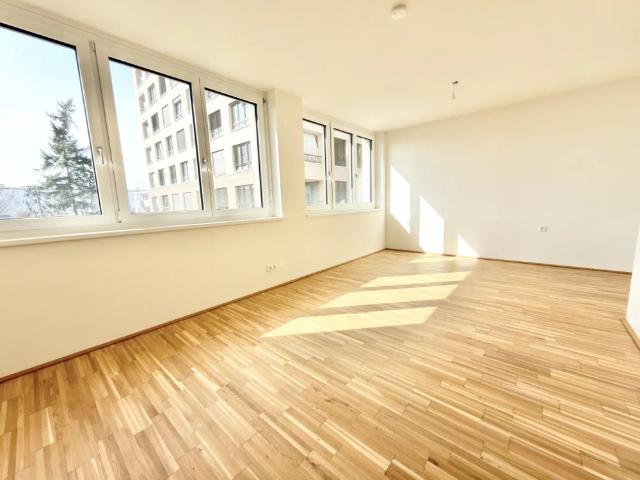 Apartment mieten in Katastralgemeinde Innere Stadt, Graz