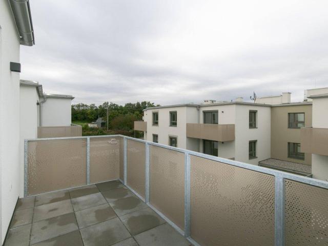 Apartment mieten in Großstelzendorf, Göllersdorf