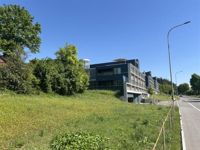 Wohnung mieten in Illnau-Effretikon, Zürich