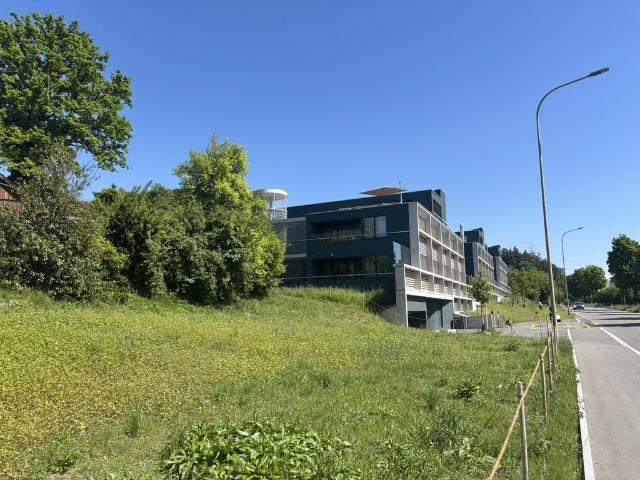 Wohnung mieten in Illnau-Effretikon, Zürich