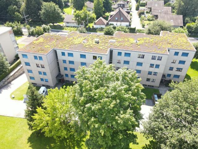Apartment mieten in Langenthal, Bern