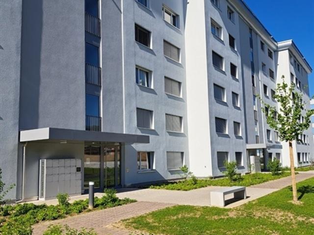 Wohnung mieten in Lü