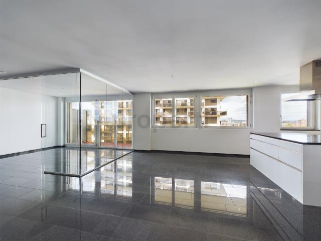 Apartment mieten in Dübendorf, Zürich
