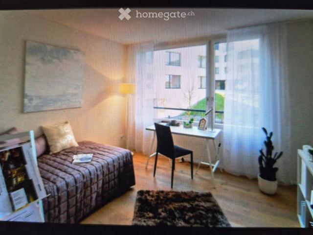 Apartment mieten in Merenschwand