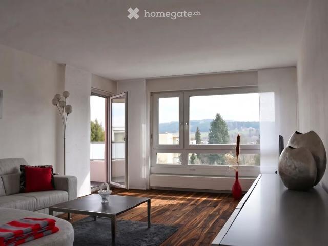 Apartment mieten in Feldbach, Hombrechtikon