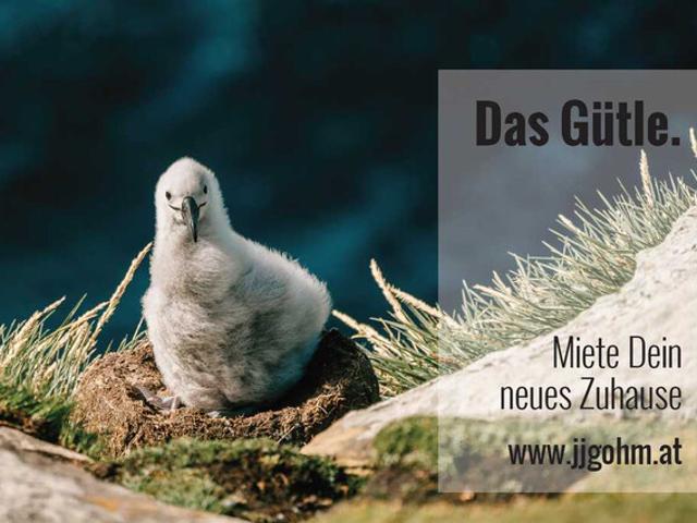 Apartment mieten in Feldkirch, Vorarlberg