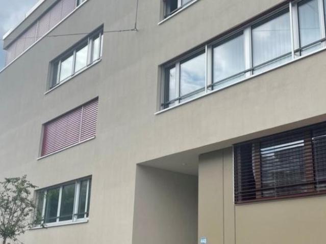 Apartment mieten in Einigen, Zürich