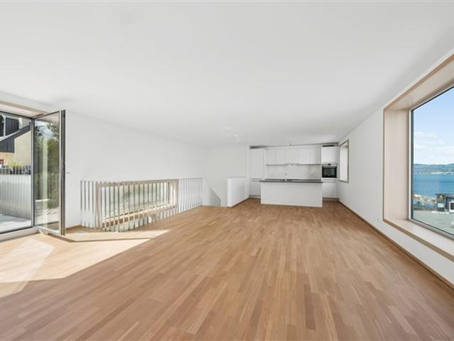 Atelier kaufen in Villeneuve (VD), Waadt