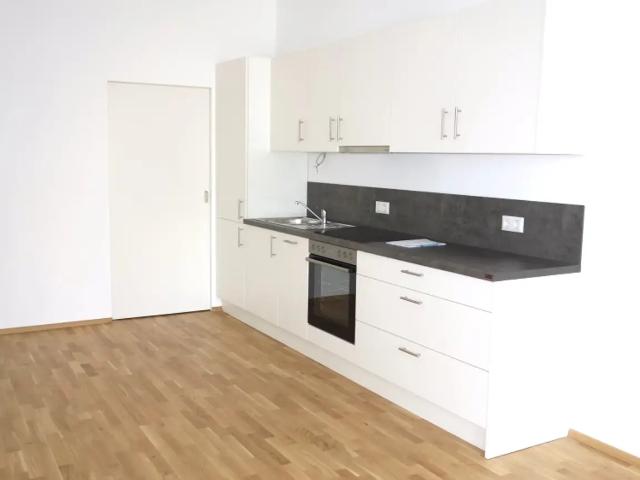Apartment mieten in Katastralgemeinde Rauhenstein, Baden