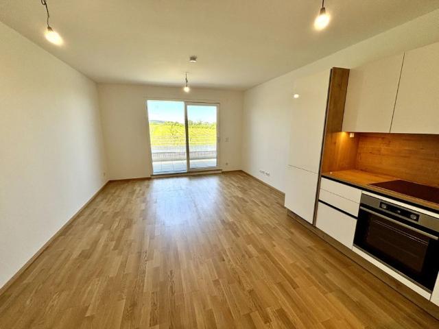 Apartment mieten in Breitenbrunn am Neusiedler See, Burgenland