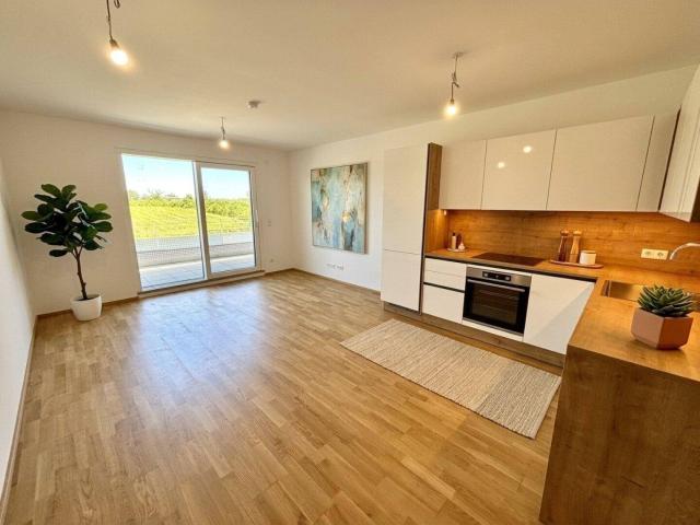 Apartment mieten in Breitenbrunn am Neusiedler See, Burgenland