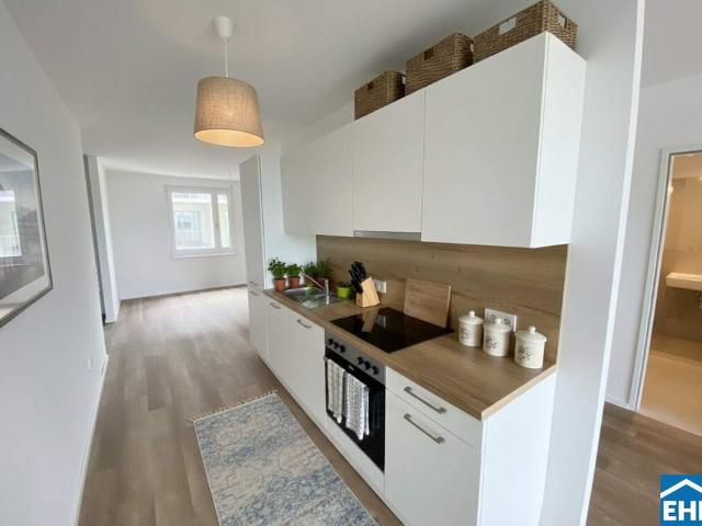 Wohnung mieten in Tulln an der Donau, Niederösterreich