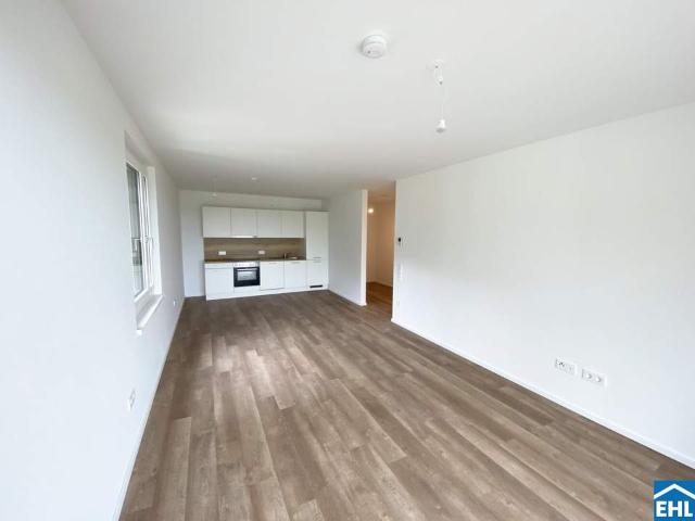 Wohnung mieten in Tulln an der Donau, Niederösterreich