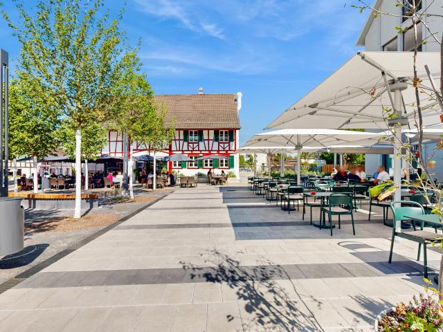 Apartment mieten in Niederhasli, Zürich