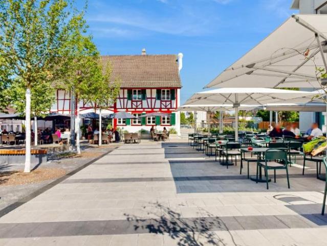 Apartment mieten in Niederhasli, Zürich