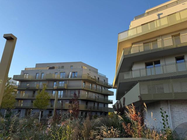 Apartment mieten in Großjedlersdorf, Wien