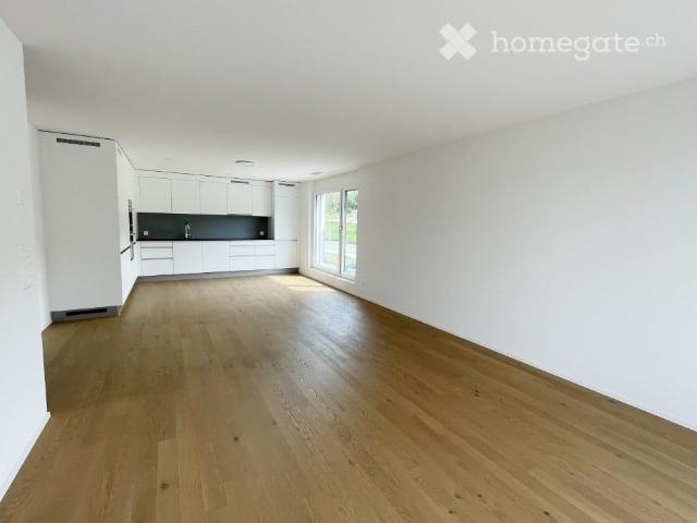 Apartment mieten in Langwiesen, Feuerthalen