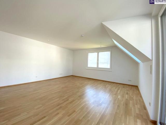 Wohnung kaufen in Seestadt, Wien