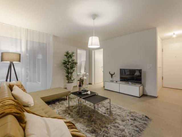 Apartment kaufen in Reinach (AG)