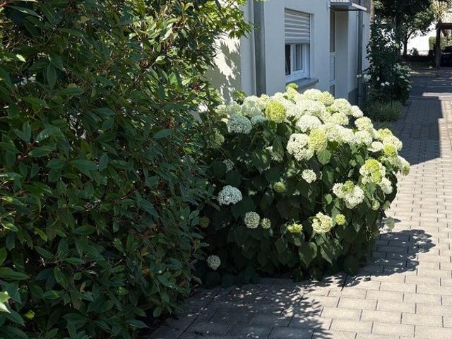 Wohnung kaufen in Heilbronn, Baden-Württemberg