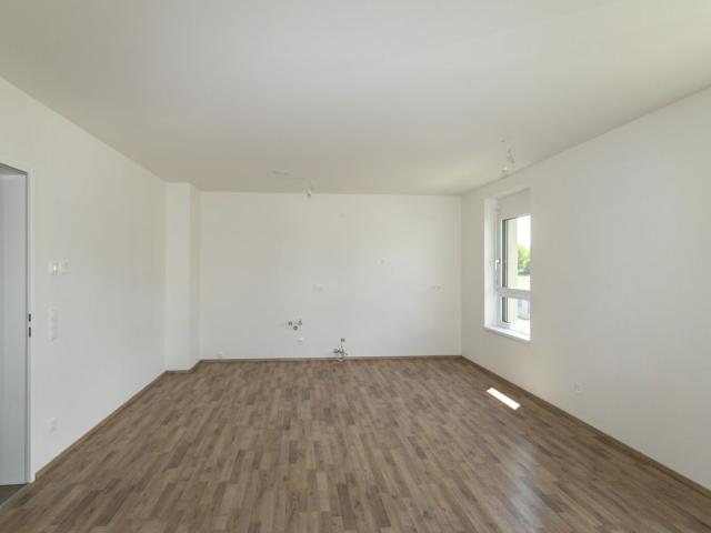 Wohnung mieten in Großstelzendorf, Göllersdorf