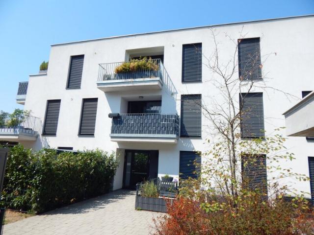 Terrassenwohnung kaufen in Wien